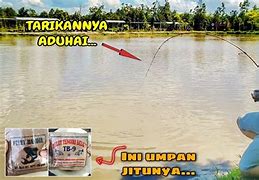 Umpan Mancing Ikan Patin Di Kolam Pemancingan